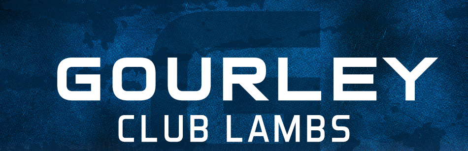 Gourley Club Lambs